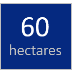 60 hectares