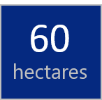 60 hectares 60 hectares